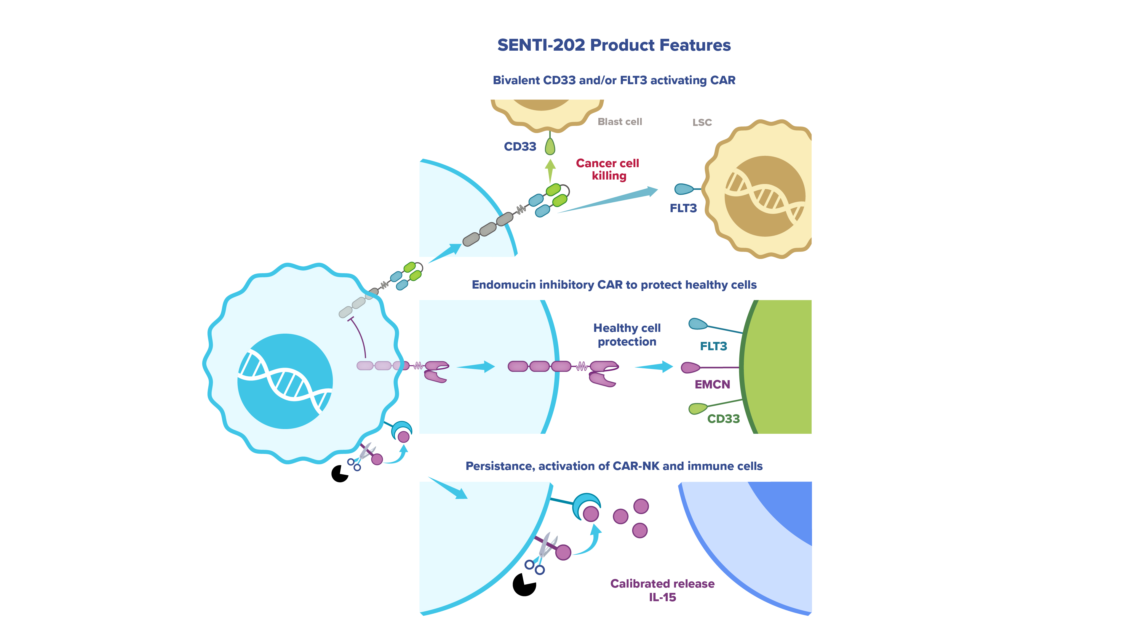 Oncology Target Discovery